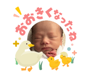842353493