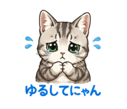 842353522