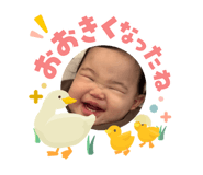 842353605