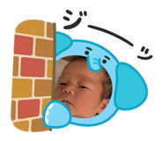 842353616