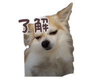 842354079
