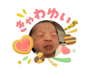 842354118