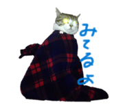 842354305