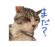842354309