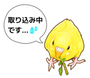 842355036