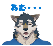 842355144