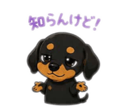 842355159