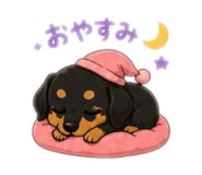 842355161