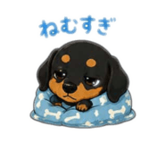842355162