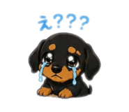 842355163