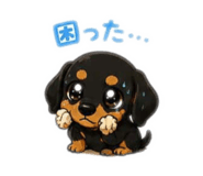 842355164