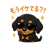 842355169