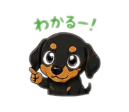 842355170
