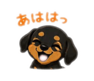 842355176