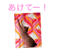 842355370