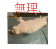 842355374