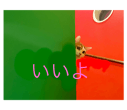 842355377