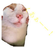 842355379