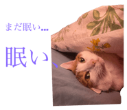 842355380