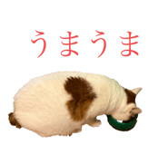 842355382