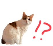 842355383