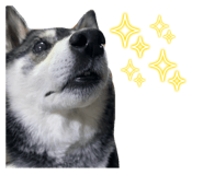 842355640