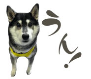 842355644