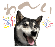 842355646