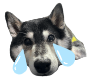 842355655