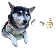 842355656