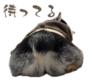 842355658