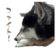 842355660