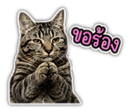 842355666