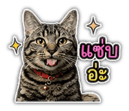 842355669