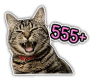 842355674