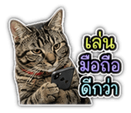 842355679