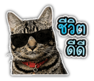 842355681
