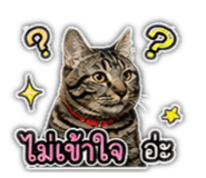 842355684
