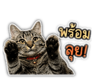 842355687