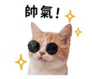 842356087