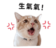 842356090