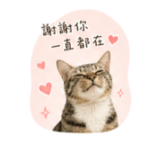 842356187
