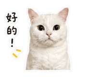 842356314