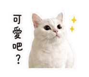 842356319