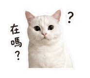 842356320