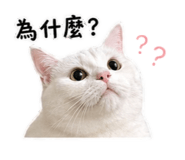 842356331