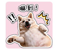 842356635