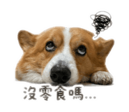 842356646
