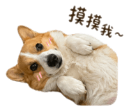 842356654