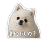 842356769